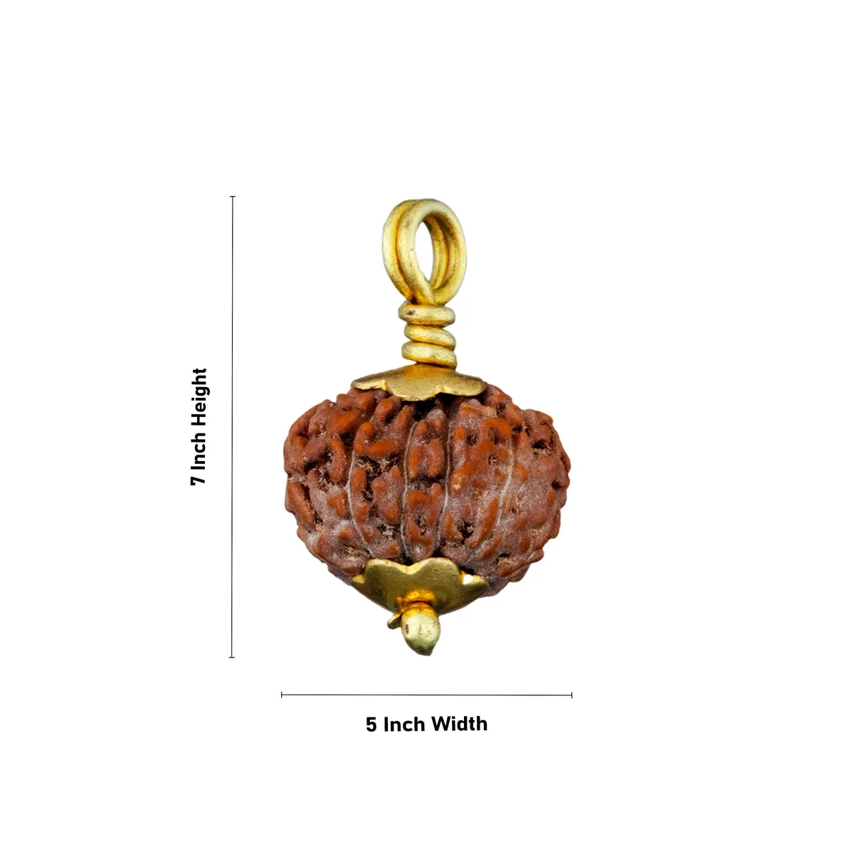 11 Face Rudraksha Pendant - 7 x 5 Inches | Golden Cup Rudraksha Bead/ Java Rudraksh Locket for Men & Women