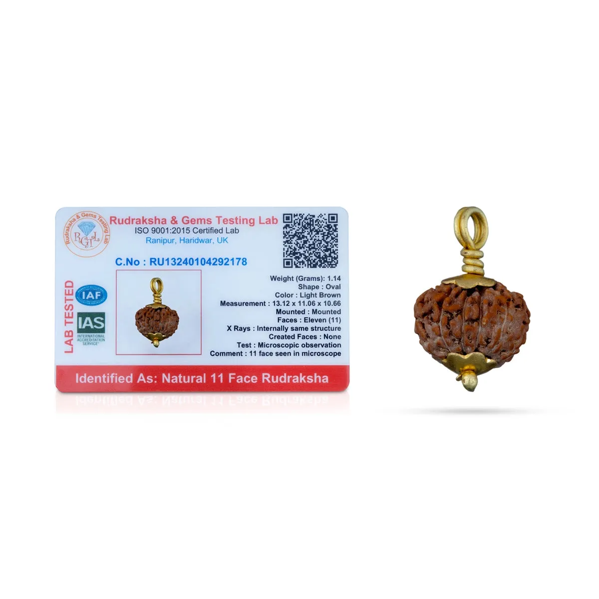 11 Face Rudraksha Pendant - 7 x 5 Inches | Golden Cup Rudraksha Bead/ Java Rudraksh Locket for Men & Women